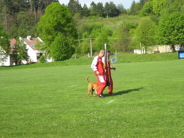 www.atibox.net * www.euroboxer.eu * www.boxergenealogia.eu